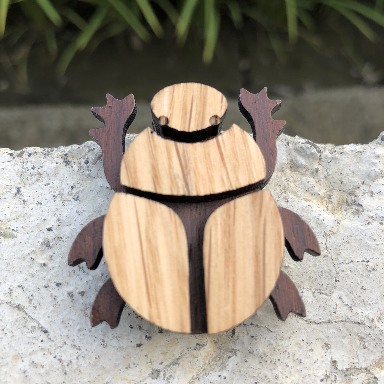 糞金龜不崩潰磁鐵